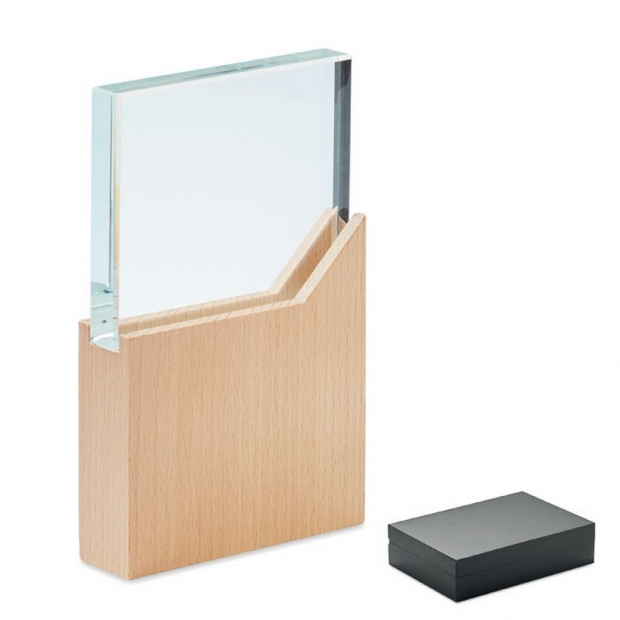 Crystal award 20cm