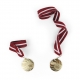 Medal 50 mm