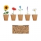 Flowers growing kit with imprint (price without logo)
