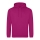 FESTIVAL FUCHSIA 