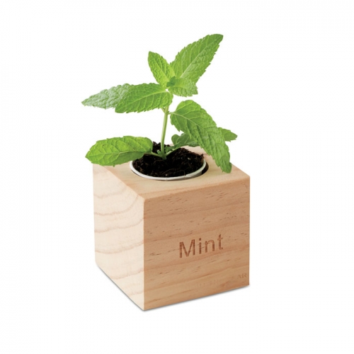 MENTA garšaugu pods ar apdruku (cena bez drukas)