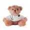 Teddy bear plush with imprint (price without logo)