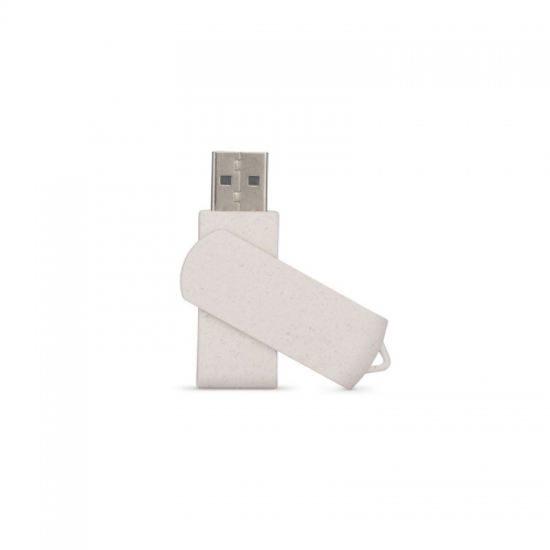 USB flash drive 32 GB with print (price without printing) 