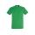 Kelly green-272 