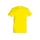 Lemon-302 