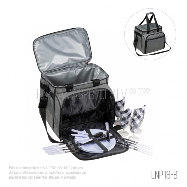 Лиго подарок LNP18-B