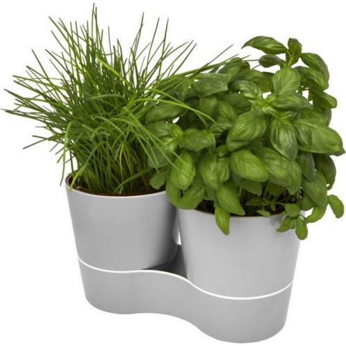 Herb kitchen pot