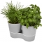 Herb kitchen pot