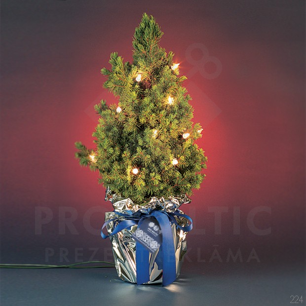 Christmas Tree 35-45cm