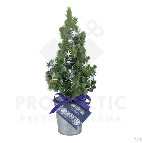 Christmas Tree 20-30cm