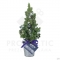 Christmas Tree 20-30cm
