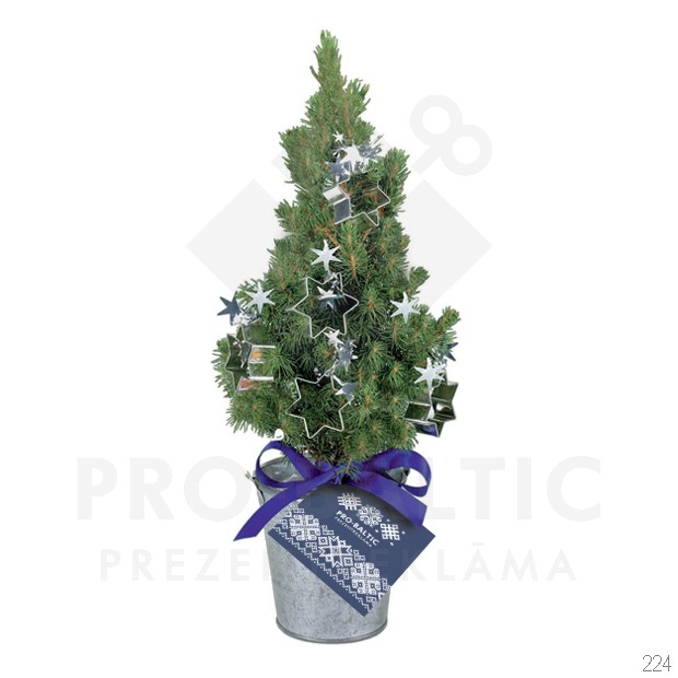 Christmas Tree 20-30cm