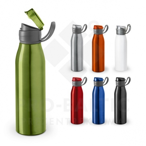 Sports bottles 650ml Rover with imprint (price without logo) 