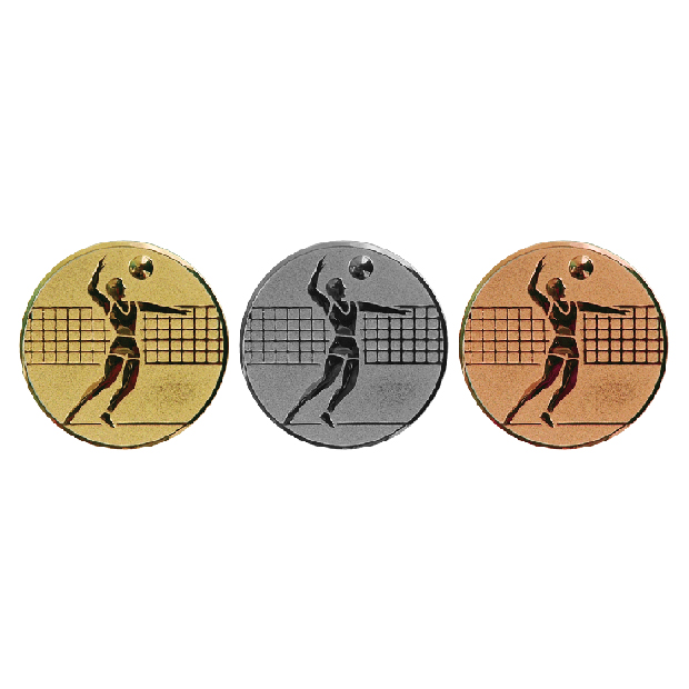 Emblem 25 mm, Men's volleyball